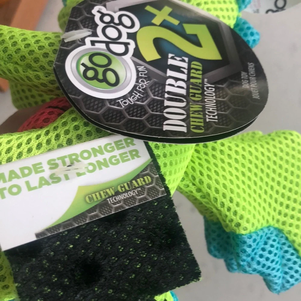 Lime Green and Blue Dragon Dog Toy